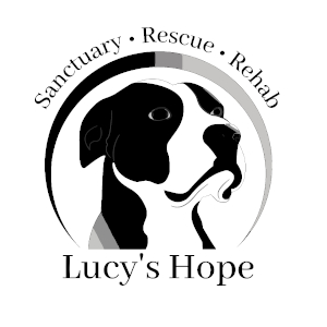 Lucy’s Hope Sanctuary & Rescue 12090 N Thornydale Rd, Suite 110 #324, Marana, AZ 85658.